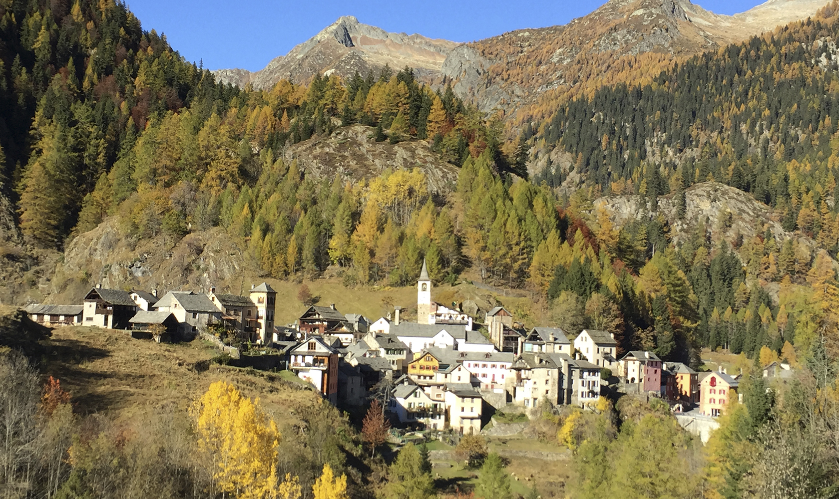 fusio_herbst