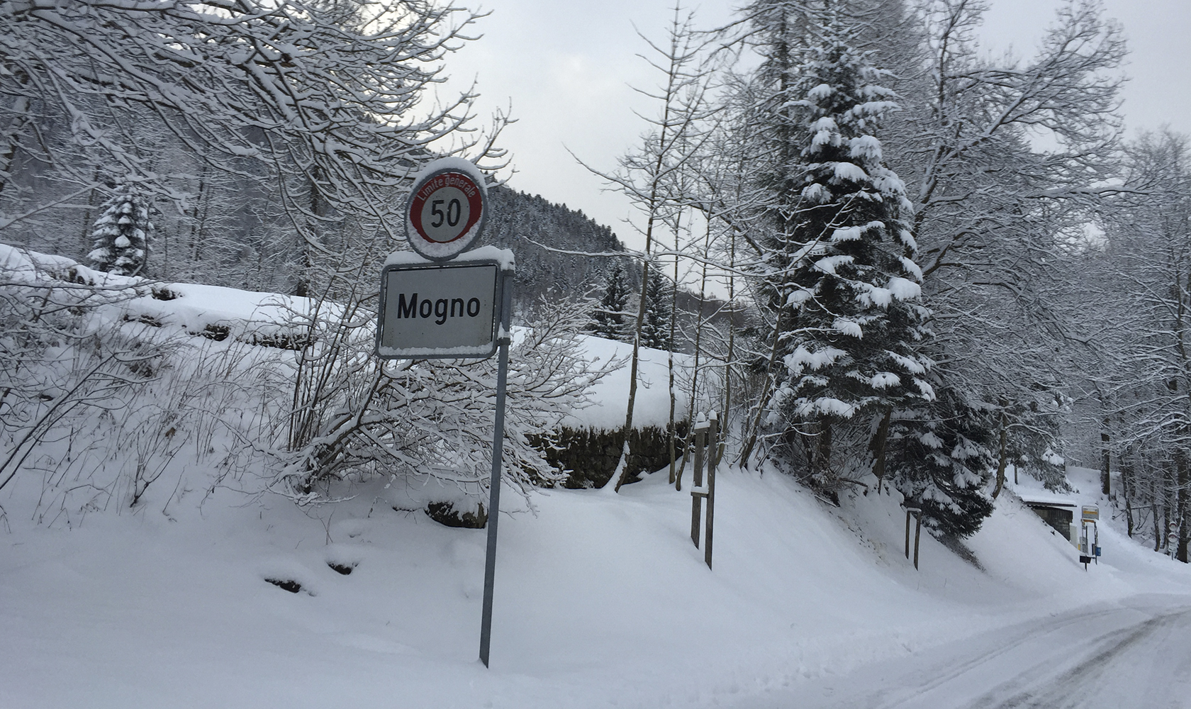 mogno_schnee