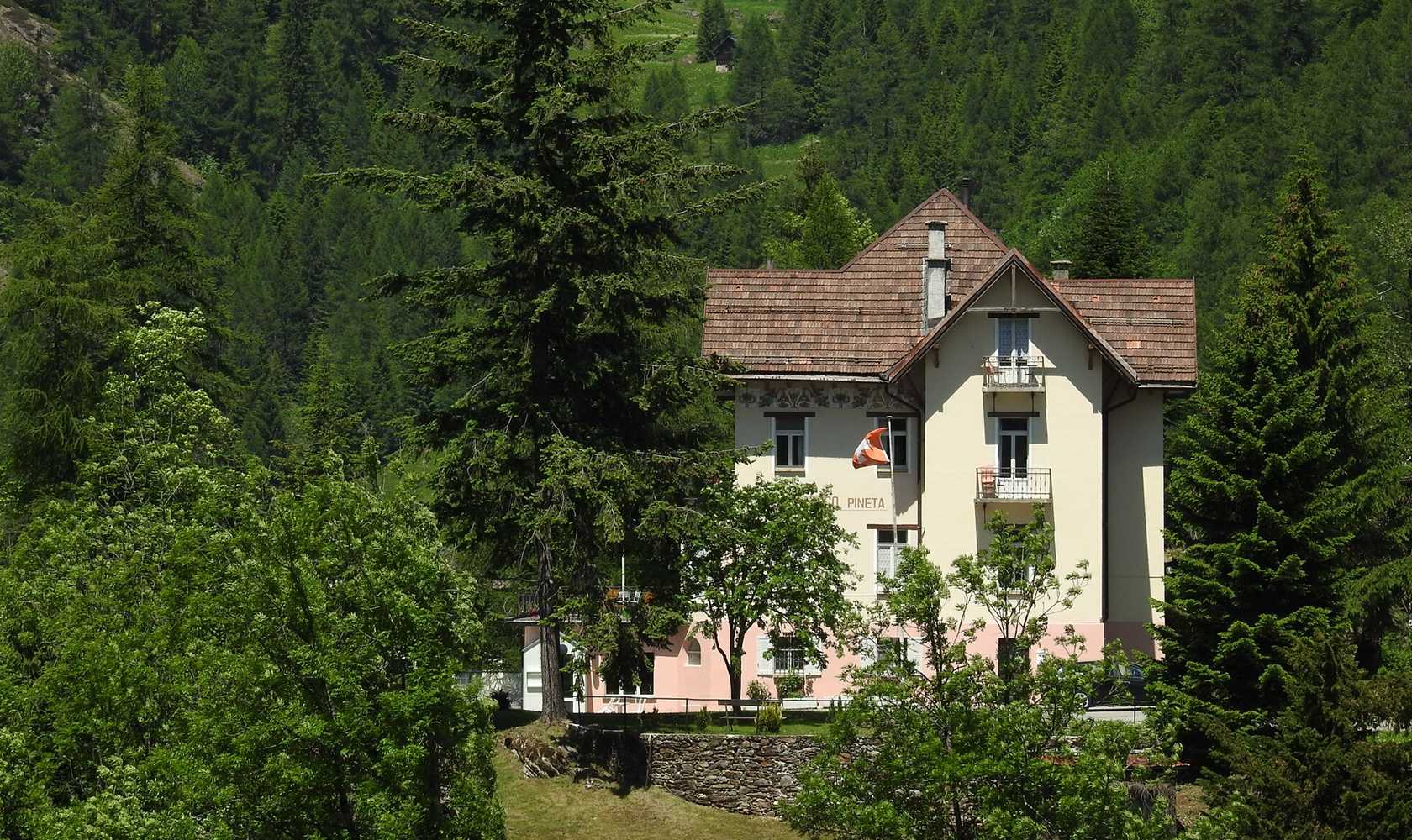 pinetta
