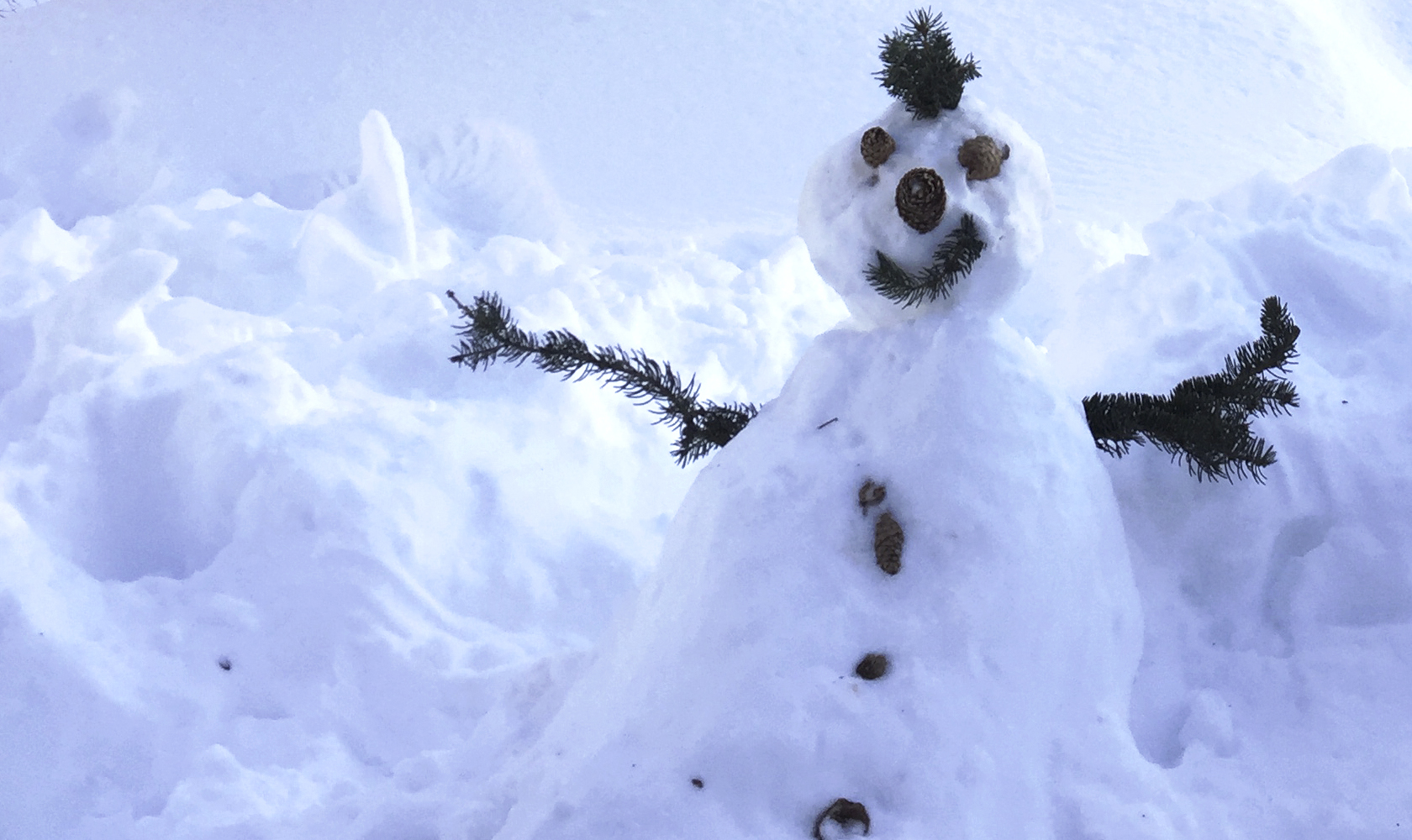 schneemann